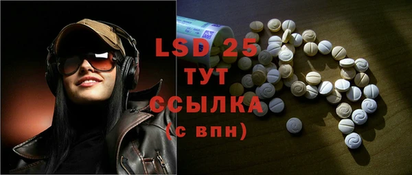 PSILOCYBIN Горно-Алтайск