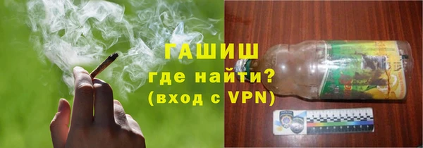 шишки Горняк