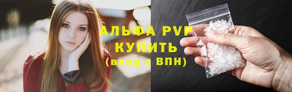 PSILOCYBIN Горно-Алтайск