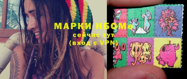 шишки Горняк