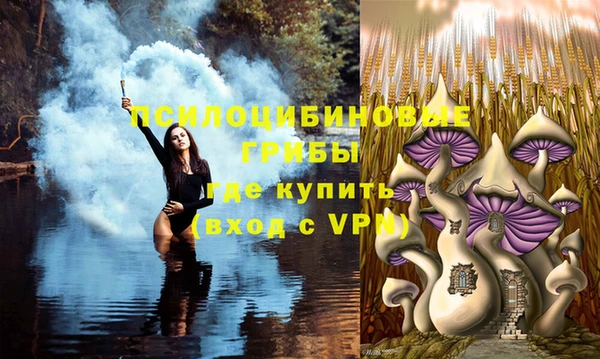 бошки Вяземский