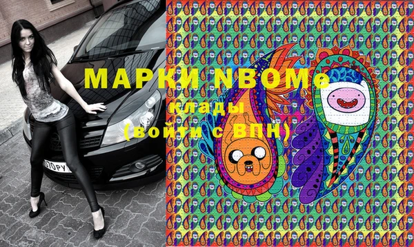 шишки Горняк