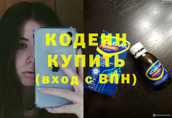 шишки Горняк