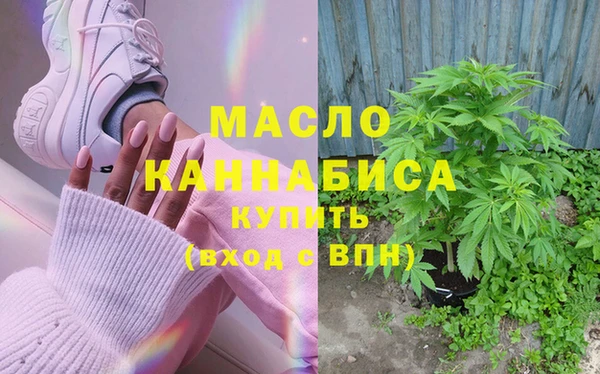 шишки Горняк