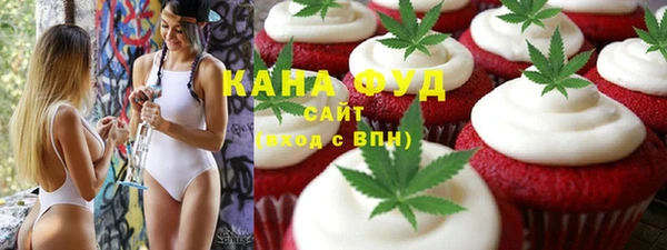 шишки Горняк