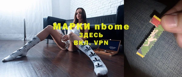 шишки Горняк